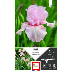ERNEST TURC IRIS des...