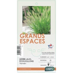 PENNISETUM alopecuroides...
