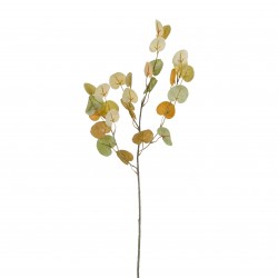 Tige D'Eucalyptus Vert En...