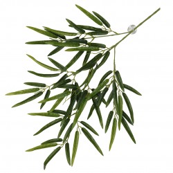 Plante suspendue Bambou...