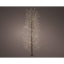 Arbre Sur Socle Led...