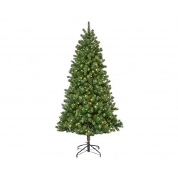 Sapin Kenmore Led...