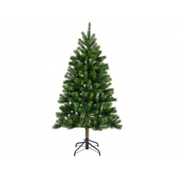 Sapin Kenmore Vert En...