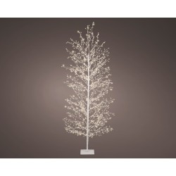Arbre Sur Socle Led...