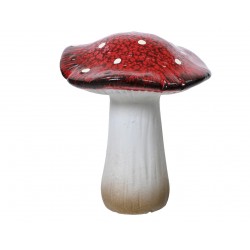Champignon Rouge/Blanc En...