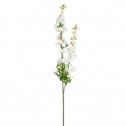 Tige De Delphinium Crème En...