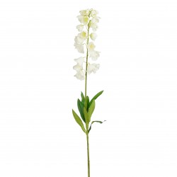 Tige De Campanula Crème En...