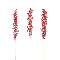 Tige De Baies Rouge En...