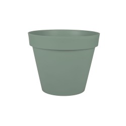 Pot TOSCANE Ø48 laurier...