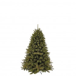 Sapin Forest Frosted Vert...