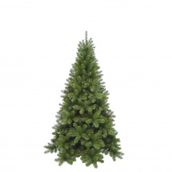 Sapin Tuscan Vert...