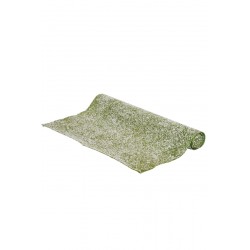 Pelouse Avec Neige Vert...