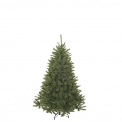 Sapin Bristlecône Vert...