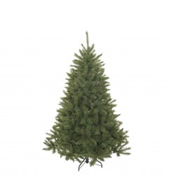 Sapin Bristlecône Vert...
