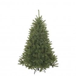 Sapin Bristlecône Vert...