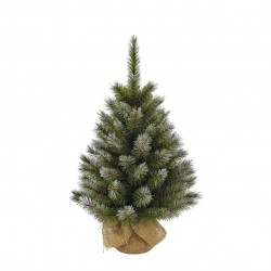 Sapin Pomme De Pin...