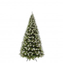 Sapin Pomme De Pin...