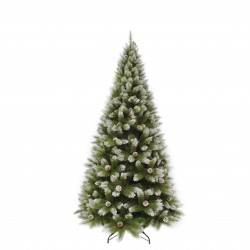 Sapin Pomme De Pin...