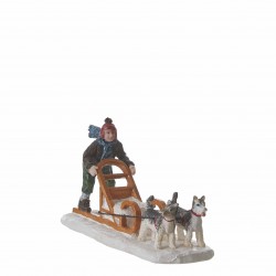 Chiens De Traineau...
