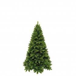 Sapin Tsuga Vert...
