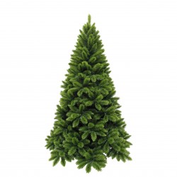 Sapin Tsuga Vert...
