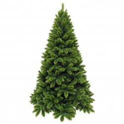 Sapin Tsuga Vert...