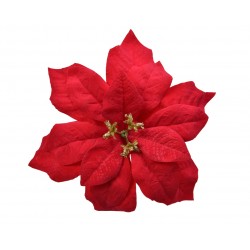 Poinsettia Velours Sur Clip...