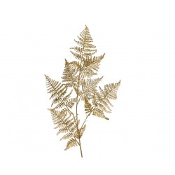 Tige D'Asperge Or En...