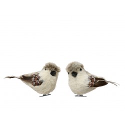 Oiseau/Pomme De Pin Sur...