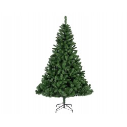 Sapin imperial vert H270 -...