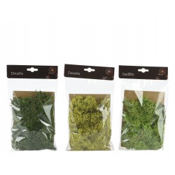 Sachet de mousse vert -...