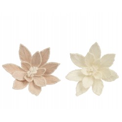 Poinsettia sur clip beige...