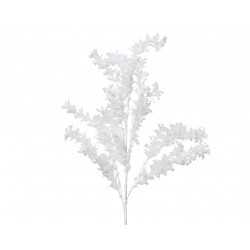 Tige D'Algue Blanc En...