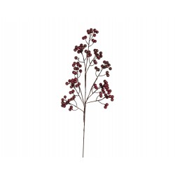 Tige de baie violet H59 -...