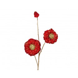 Tige De Calendula Rouge En...