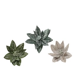Poinsettia givré sur clip...
