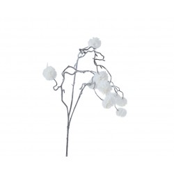 Tige De Coton Blanc En...