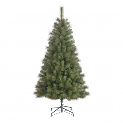 Sapin Brantford Vert...