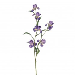 Tige D'Iris Violet H86-MICA...