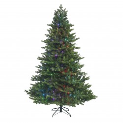 Sapin Fibre Optique...