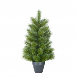 Sapin En Pot Glendon Vert...