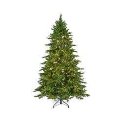 Sapin galloway 3000LED...