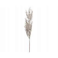 Tige de cyprès blanc H79 -...