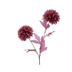 Tige de chrysantheme Rose...