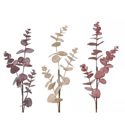 Tige d'eucalytus rose H69 -...