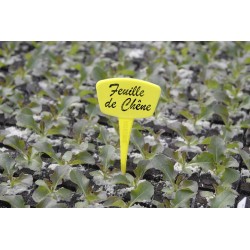 Étiquette À Planter LABEL...