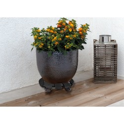 Roule-pot rond gris Ø30
