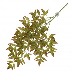 Plante suspendue Nandina...