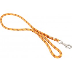 Laisse nylon corde orange
