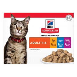 Multipack ct adult 1-6...